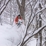 Hakuba-Tree-Jump