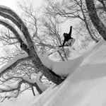Hakuba-Tree-Skiing