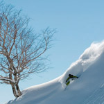 Hakuba-backcountry-skiing---Goryu