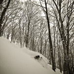 Hakuba-easy-side-country--Skiing