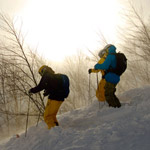 Hakuba-tree-skiing-(2)