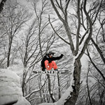 Snowboarding-Hakuba-Trees