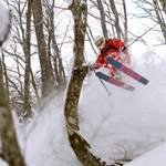Tsugaike-Tree-skiing