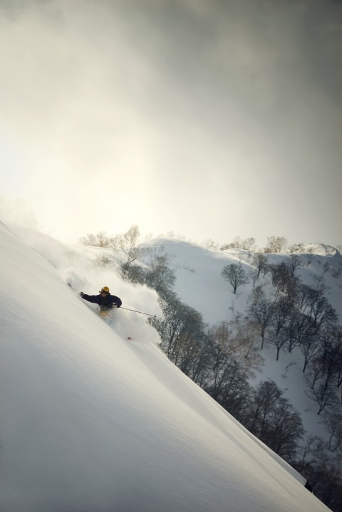 Hakuba Goryu Deep Powder
