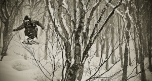 Skiing Hakuba Cortina Trees