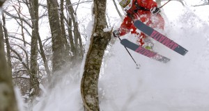 Tsugaike Tree skiing