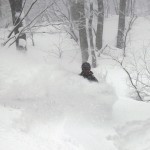 Hakuba bottomless powder