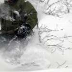 Hakuba Frozen Moustache