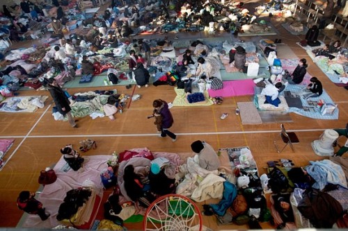shelter for earthquake & tsunami victims