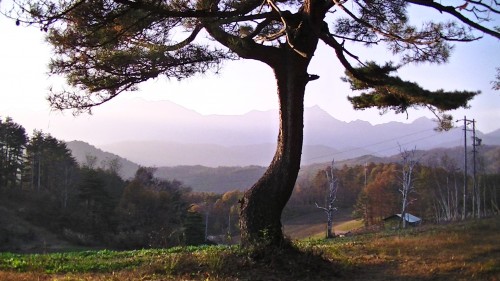 Fall colors in Japan